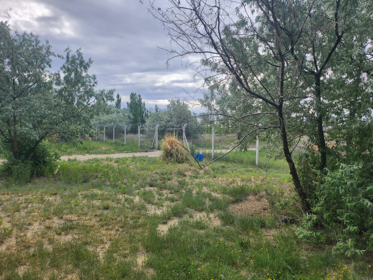 CHACRA CON 2 CASAS