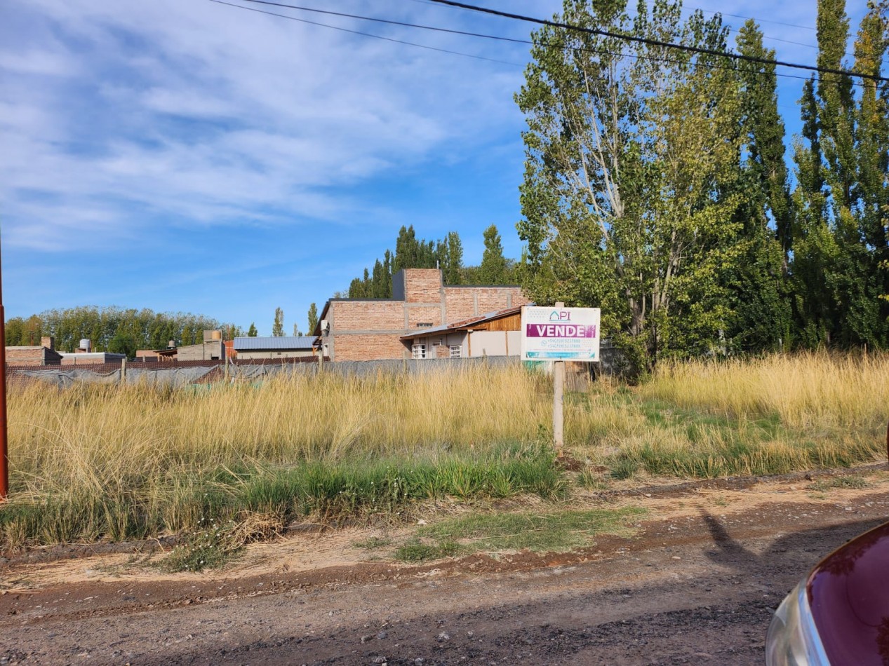 LOTE B° DON HIGINIO 3