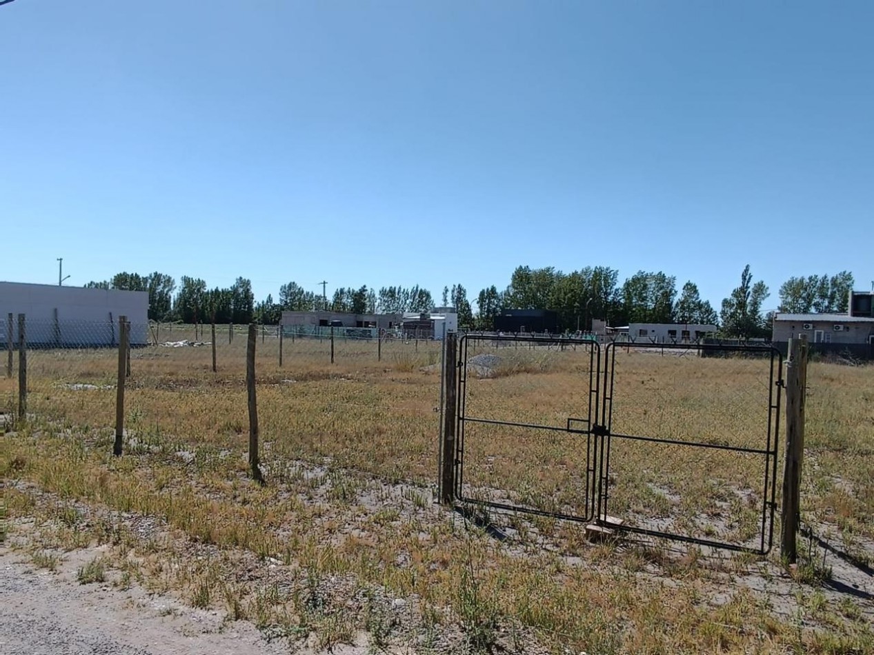 TERRENO B° REGGIO II