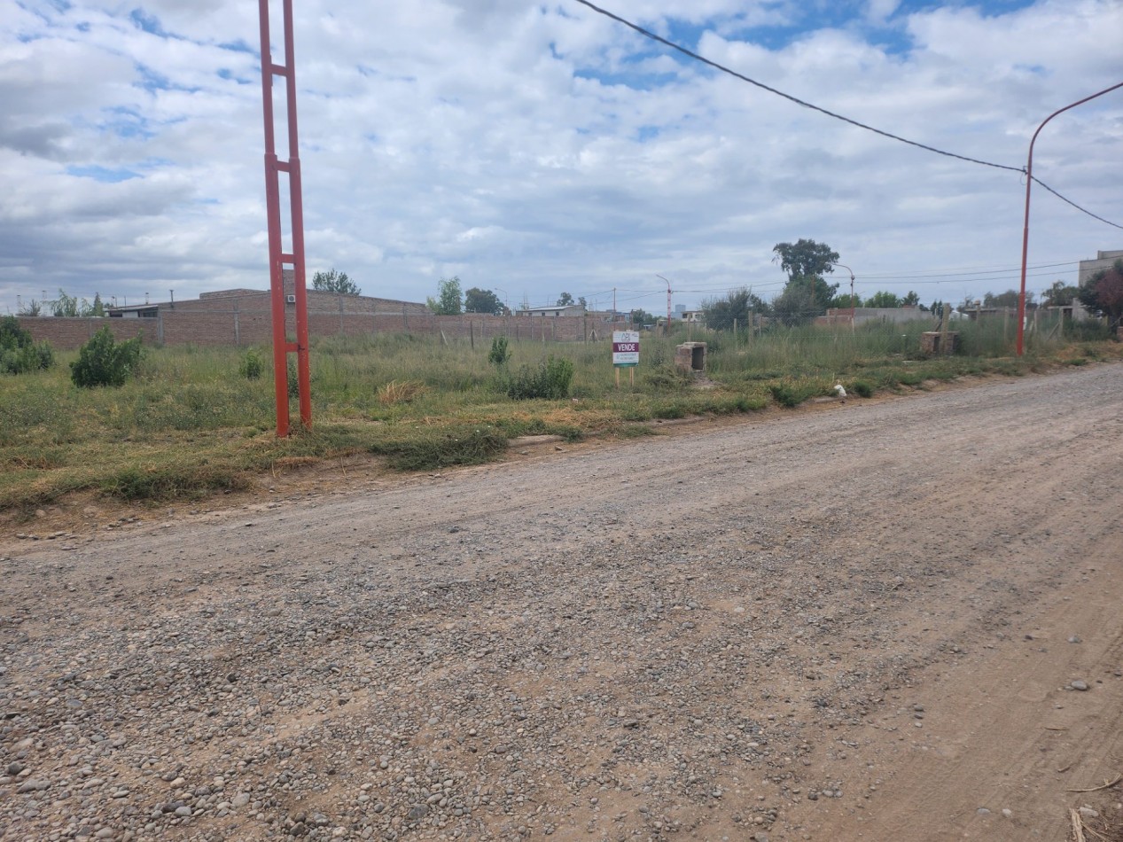 TERRENO