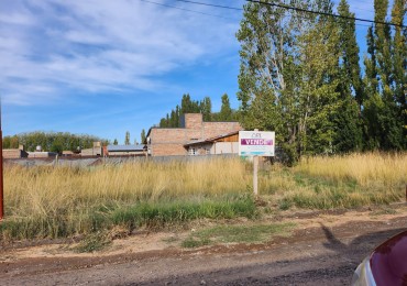 LOTE B° DON HIGINIO 3