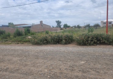 TERRENO