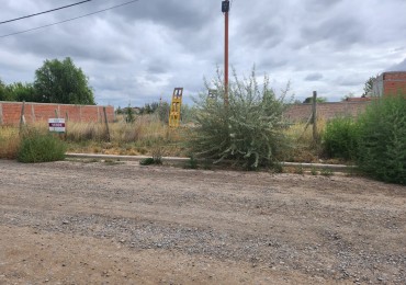 TERRENO 